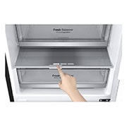 LG GBB7 seeria 384L No-Frost külmik, kõrgus 203cm, GBB72MCDFN, GBB72MCDFN, thumbnail 5