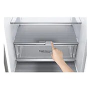 LG C klases DoorCooling+™ ledusskapis, Lineārais kompresors, GBB72NSCCN, GBB72NSCCN, thumbnail 5