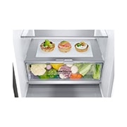 LG Külmik  | 2.03m | 384L | Hõbedane | D klass | DoorCooling | Total No Frost | GBB72PZVGN, GBB72PZVGN, GBB72PZVGN, thumbnail 6