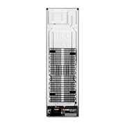 LG Külmik  | 2.03m | 384L | Hõbedane | D klass | DoorCooling | Total No Frost | GBB72PZVGN, GBB72PZVGN, GBB72PZVGN, thumbnail 15