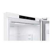 LG Külmik  | 1.86m | 344L | Valge |  D klass | DoorCooling | Total No Frost | GBV3100DSW, Duct view with food , GBV3100DSW, thumbnail 9