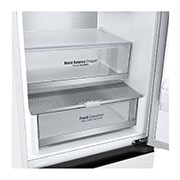 LG külmik sügavkülmikuga põhjas | 1.86m | 344L | Valge | D klass | DoorCooling+™ | Fresh Converter™, GBV5140DSW, GBV5140DSW, thumbnail 6