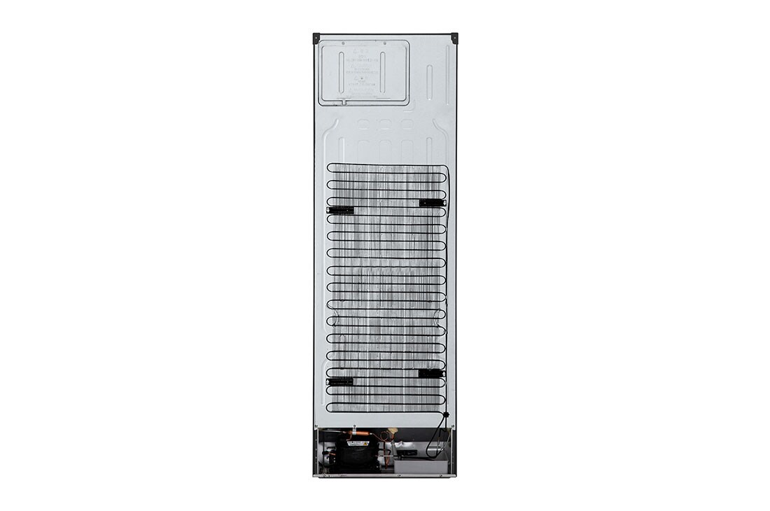 LG külmik sügavkülmikuga põhjas | 1.86m | 344L | Must | E klass | DoorCooling+™ | Fresh Converter™, Elustiil, GBV3100EEP, thumbnail 16