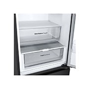 LG külmik sügavkülmikuga põhjas | 1.86m | 344L | Must | E klass | DoorCooling+™ | Fresh Converter™, Ekraan, GBV3100EEP, thumbnail 10
