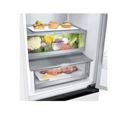 LG külmik sügavkülmikuga põhjas | 2.03m | 387L | Valge | E klass | DoorCooling+™ | Fresh Converter™, drawer_food, GBV7270ESW, thumbnail 4