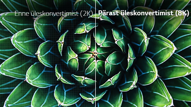 Pildi võrdlus enne ja pärast 8K kvaliteeti konvertimist. Esimene pilt on udune.