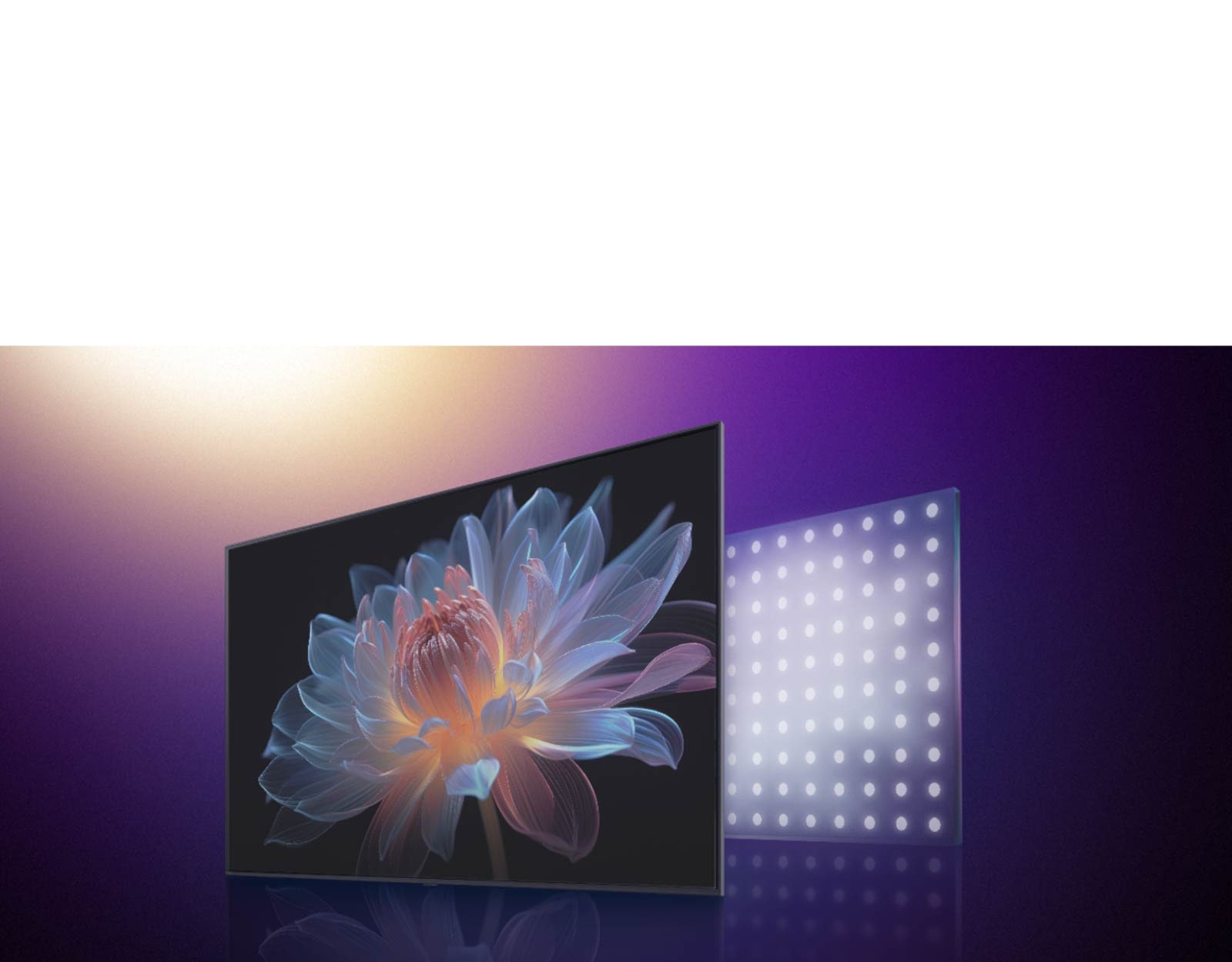 TV ekraan holograafilise lillega. Selle taga on LED-tulede visuaalne kujutis. See läheb üle suurtelt LED-tuledelt väiksematele ja holograafiline lillepilt võimendub järsult, näidates, kuidas LG QNED evo suudab valgust täpsemalt juhtida, mille tulemuseks on elavam ja kontrastsem pilt. 