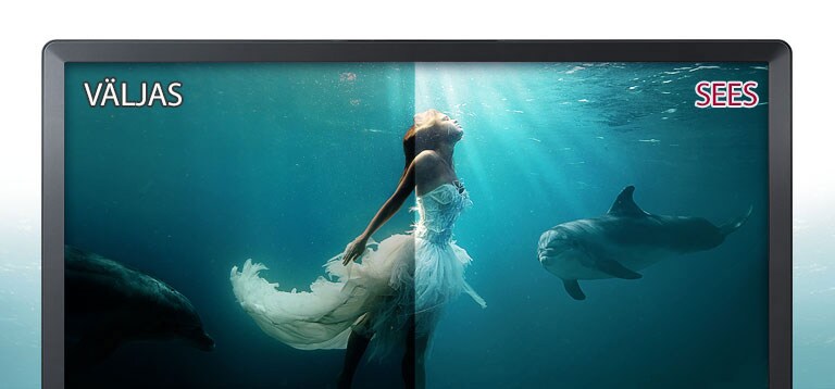 Looge kinorežiimiga oma kodukino