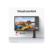 LG 31,5“ UHD 4K Ergo IPS monitor USB-C-ga, USP CARD, 32UN880K-B, thumbnail 15