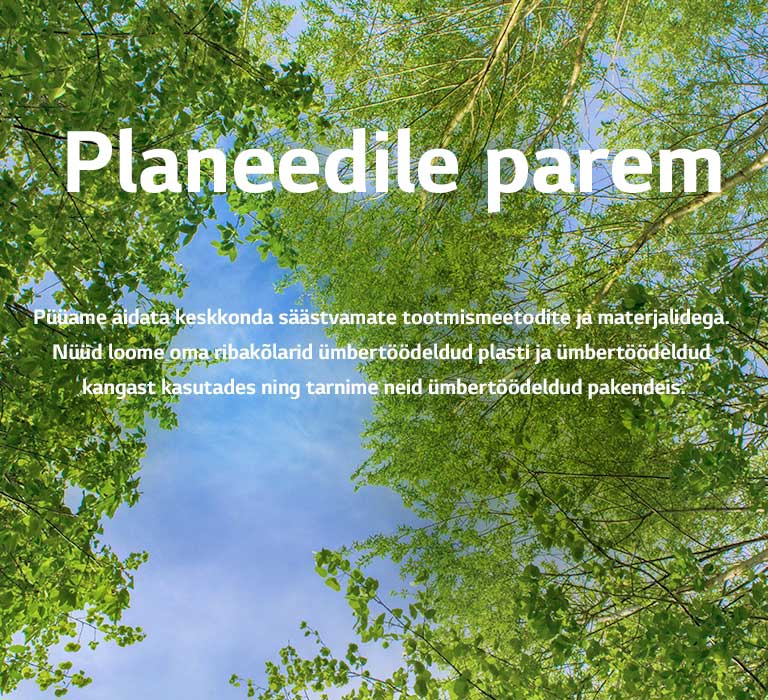 Roheline pilt, millel on lopsakad lehti täis puud, nende vahelt paistab taevas.