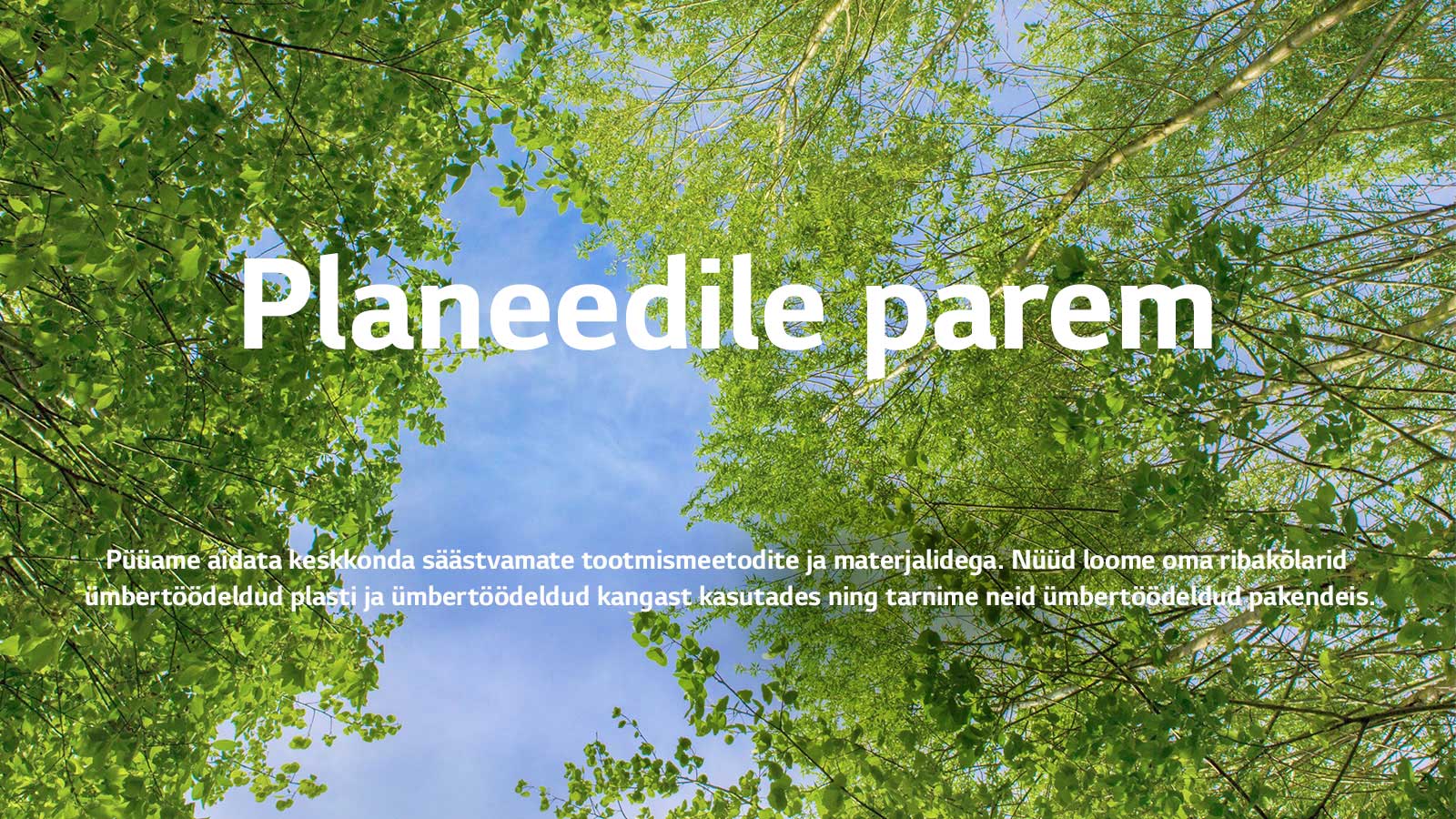 Roheline pilt, millel on lopsakad lehti täis puud, nende vahelt paistab taevas.