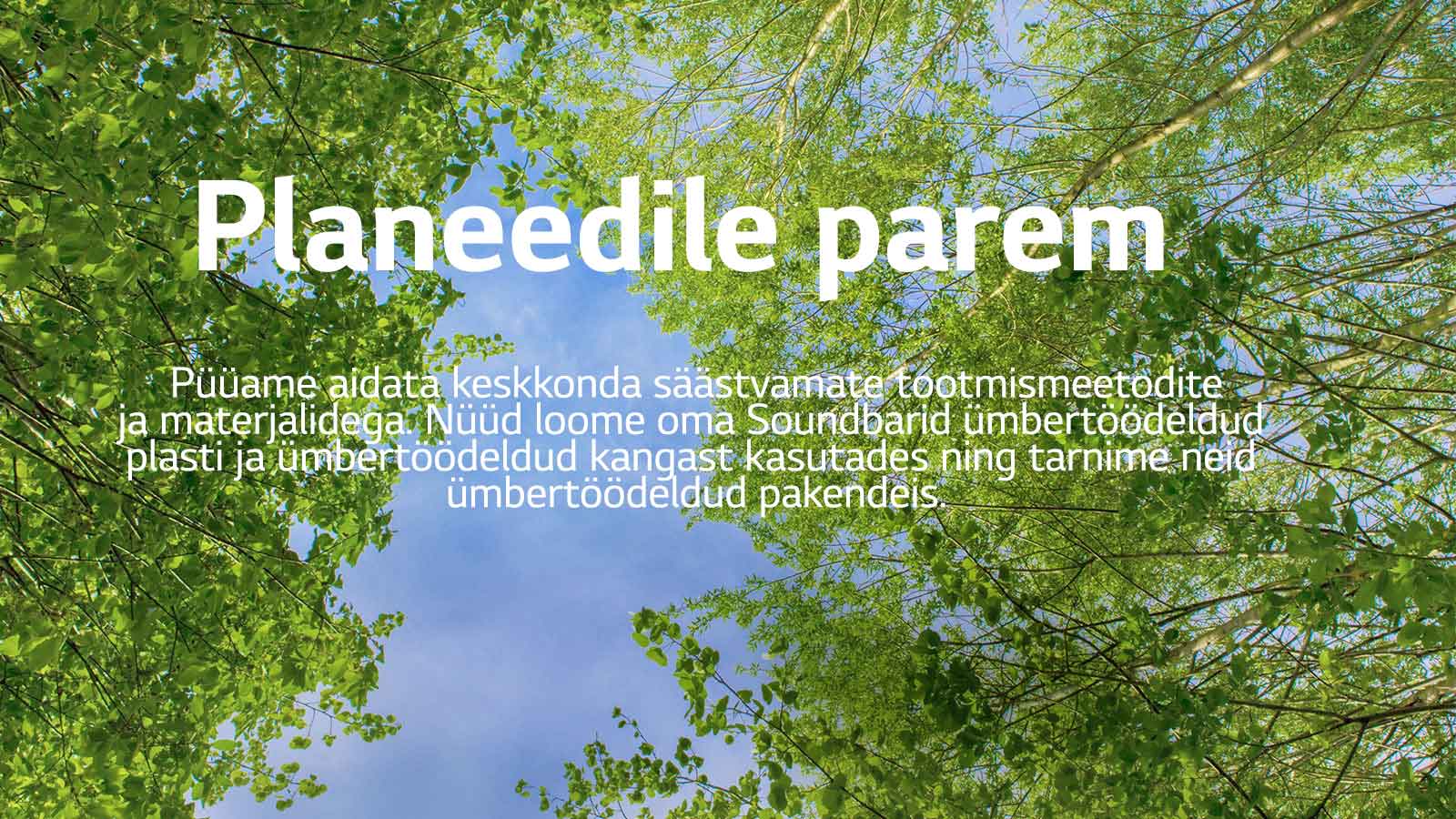 Roheline pilt, millel on lopsakad lehti täis puud, nende vahelt paistab taevas.