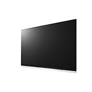 LG 65-tolline OLED-teler, OLED65E9PLA, thumbnail 3