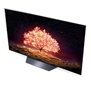 LG 55'' 4K OLED TV B1, lähivaade minipesu uksele, OLED55B13LA, thumbnail 8