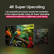 LG 43 tolline LG NanoCell AI 4K nuti TV NANO81 2025, LG NanoCell NANO80 AI 4K nutiteleri eest- ja külgvaade, mis näitab selle pikkuse, laiuse, kõrguse ja sügavuse mõõtmeid., 43NANO81A3A, thumbnail 10