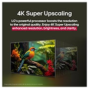 LG 75 tolline LG QNED AI 4K nuti TV QNED84 2025, Enne ja pärast võrdlus sellest, kuidas LG 4K Super Upscaling pildikvaliteeti parandab. Kaks osa, millel on sama pilt metsas oksal istuvast värvilisest linnust, parempoolne osa pildist on tuhm. Pealkir, 75QNED84A3C, thumbnail 7