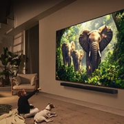 LG 50 tolline LG QNED evo AI 4K nuti TV QNED86 2025, Tüdruk ja koer istuvad LG Soundbari kohale seinale kinnitatud LG QNED TV teleri ees, millel on kuvatud kolme elevanti, kes astuvad ekraanist välja. Pealkiri räägib sellest, kuidas iga tegevus on hiigl, 50QNED86A3C, thumbnail 15