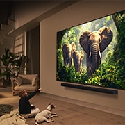 LG 75 tolline LG QNED evo AI MiniLED 4K nuti TV QNED86 2025, Detail, 75QNED86A3A, thumbnail 17