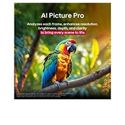 LG 86 tolline LG QNED evo AI MiniLED 4K nuti TV QNED86 2025, LG QNED TV teleri ekraanil on webOS 25 avaleht, mis on täis rakendusi ja meelelahutussisu. Teleri juures on LG Al Magic Remote, mille Al-nupp on valgustatud, nagu oleks kasutaja selle häälega aktiveer, 86QNED86A3A, thumbnail 11