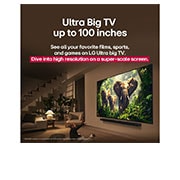 LG 86 tolline LG QNED evo AI MiniLED 4K nuti TV QNED86 2025, usbcards, 86QNED86A3A, thumbnail 17
