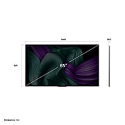 LG 65-tolline LG OLED evo AI M5 OLED65M5 tõeliselt juhtmevaba 4K 144 Hz video- ja heliülekandega teler, LG OLED M5 TV teleri eest- ja külgvaade, mis näitab selle pikkuse, laiuse, kõrguse ja sügavuse mõõtmeid., OLED65M59LA, thumbnail 2
