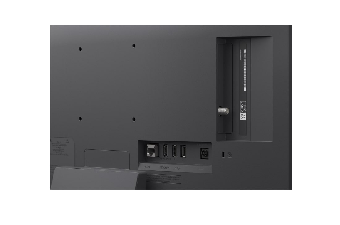 LG 24-tolline LG FHD AI LB70 4K nutiteler 2026, LG SMART TV AI LB70 FHD TV koos Dynamic Tone Mapping funktsiooniga täiustab metsas karu kujutavat stseeni, analüüsides kaadri kaupa toonkõveraid ning pakkudes rikkalikumaid tekstuure parema värvikontr, 24LB70003LA, thumbnail 11