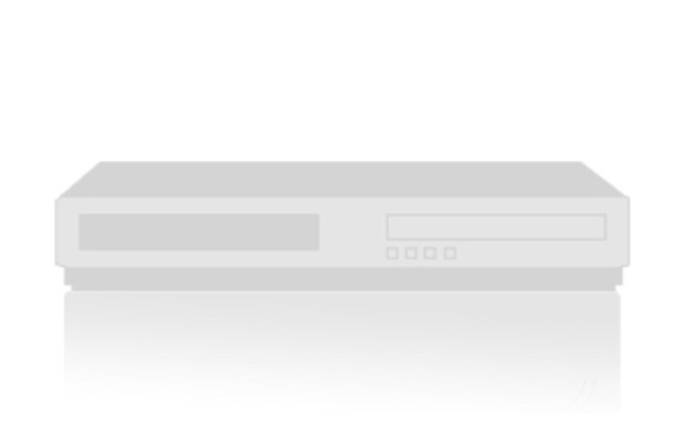 LG DVD-mängija, DVX451