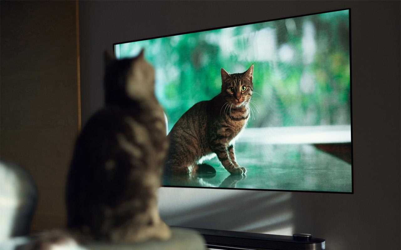 LG OLED65W7 teler
