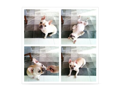 Äratage erilised hetked ellu