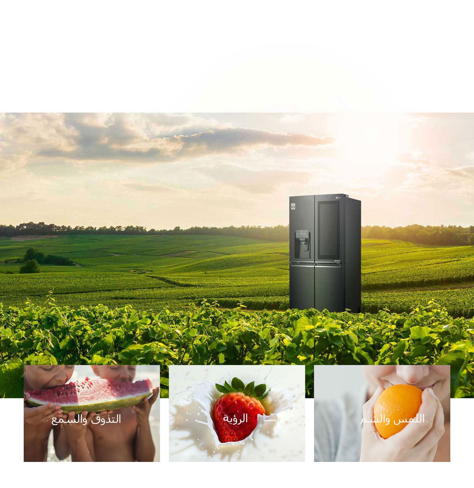 أسعد حواسك بتقنية NatureFRESH™3