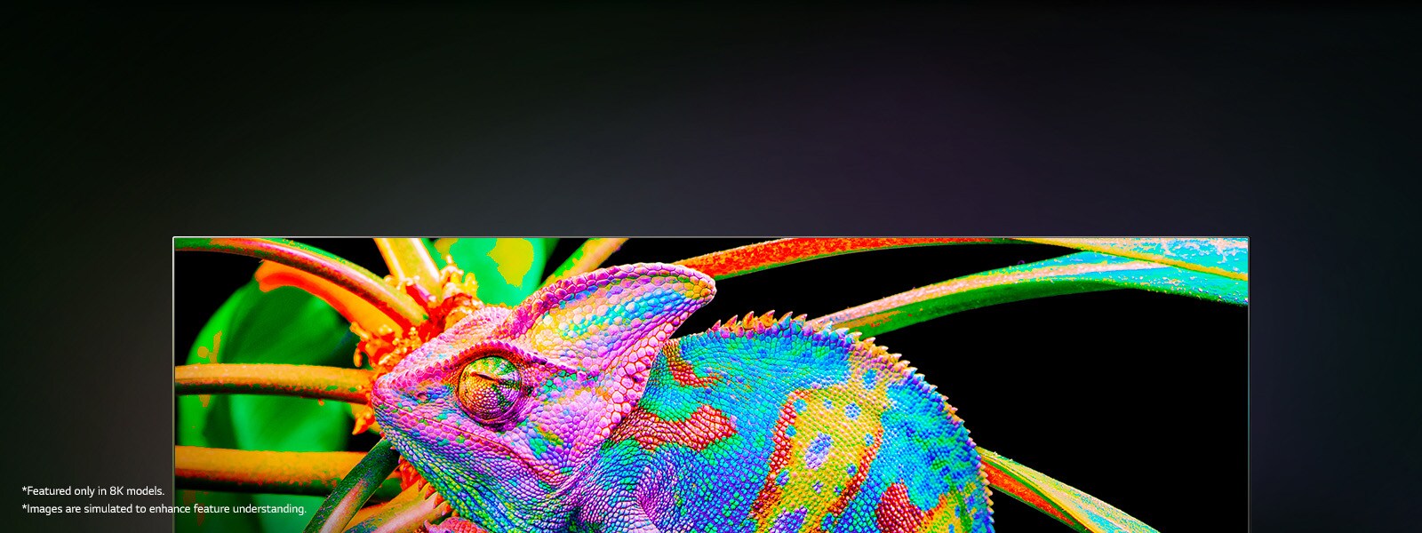 There is a TV where colorful chameleons are zoomed in to show the skin in detail.
