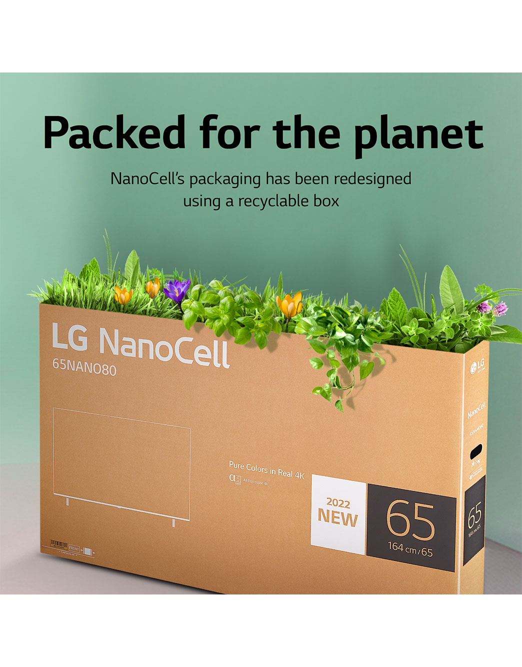 Shop LG NanoCell 55 Inch, 4K Active HDR TV, LG 55NANO846QA Specs & Price