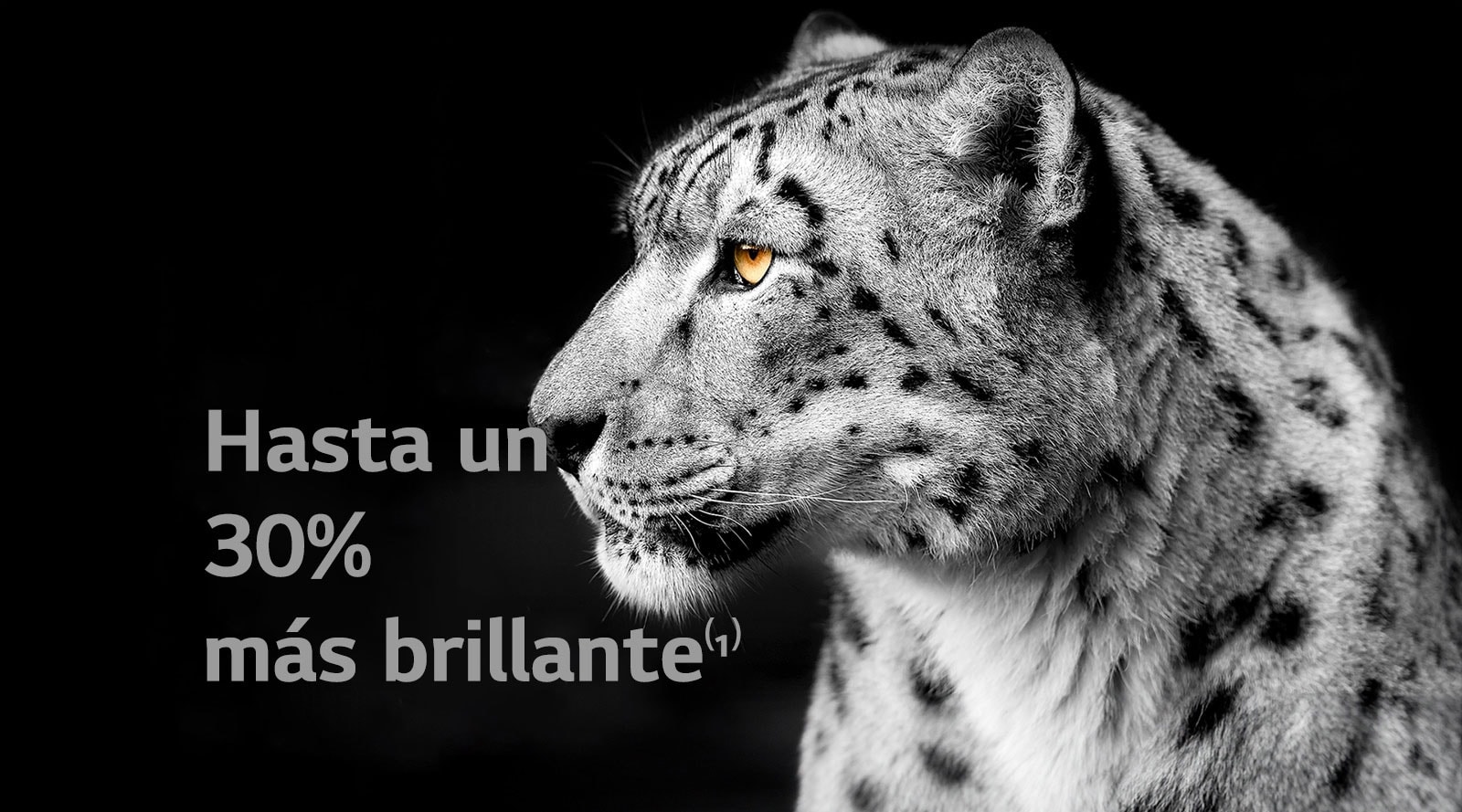 Un leopardo blanco mostrando su cara lateral en el lado izquierdo de la imagen. Las palabras "Hasta un 30% más brillante" aparecen a la izquierda.