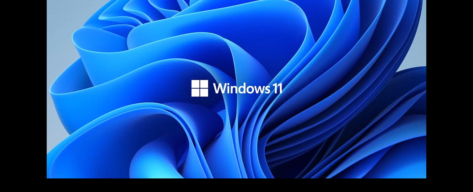 Muestra el logotipo de Windows11 y la imagen de fondo.