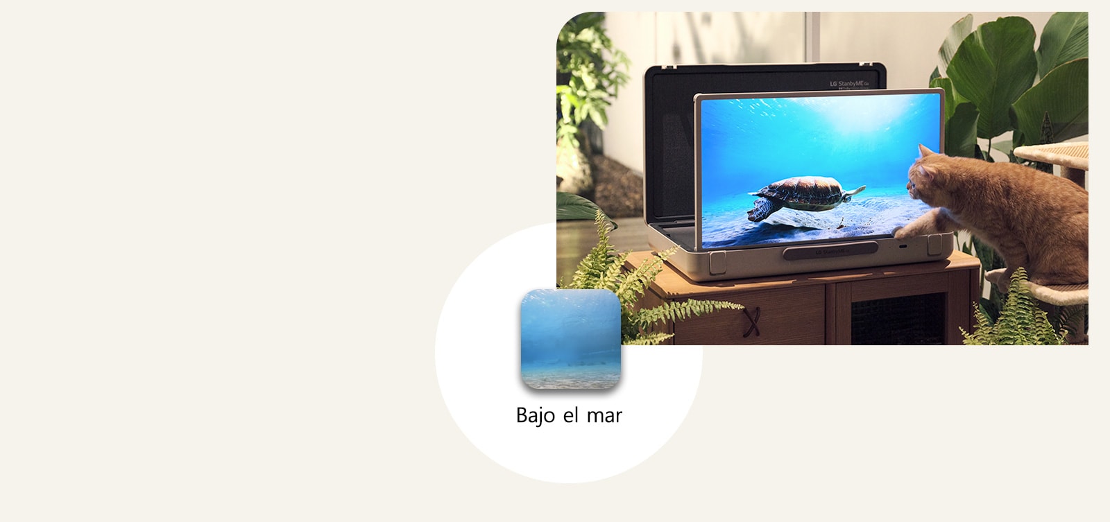 El LG StanbyME Go está colocado en el jardín, y la pantalla muestra bajo el mar. Delante de la pantalla hay un gato sentado en un taburete, intentando atrapar una tortuga en la pantalla.