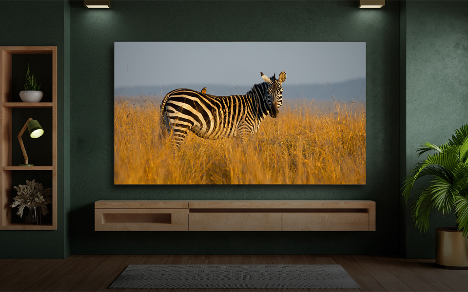 Diseño de productos ecológicos de LG Electronics