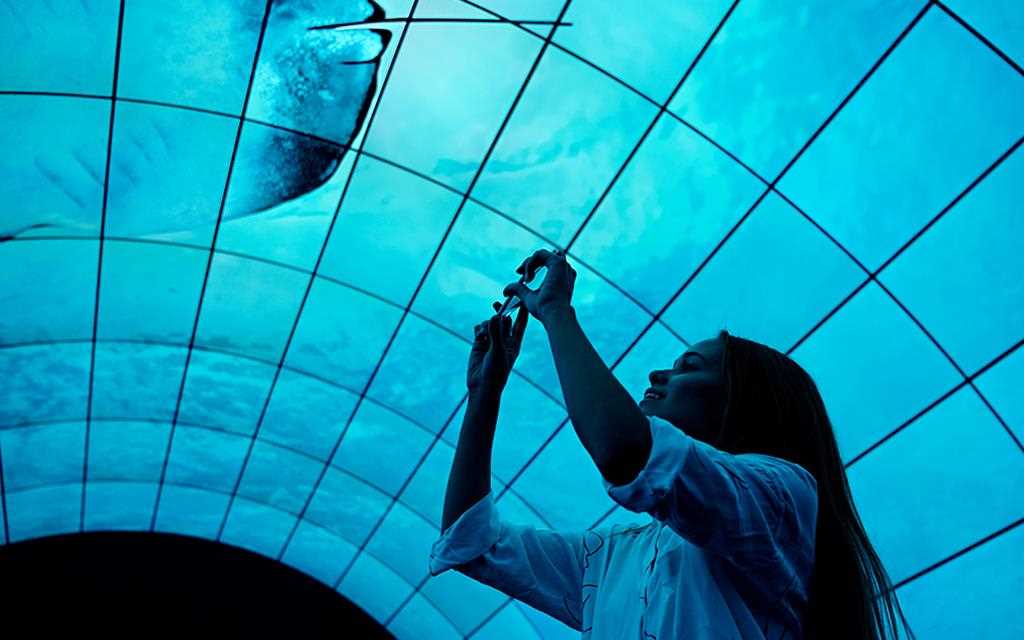 A photo of capturing a woman mesmerised by lg oled tunnel at berlin ifa 2017.