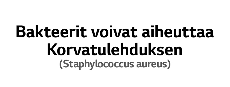 Staphylococcus aureus on bakteeri, joka aiheuttaa korvatulehduksia.