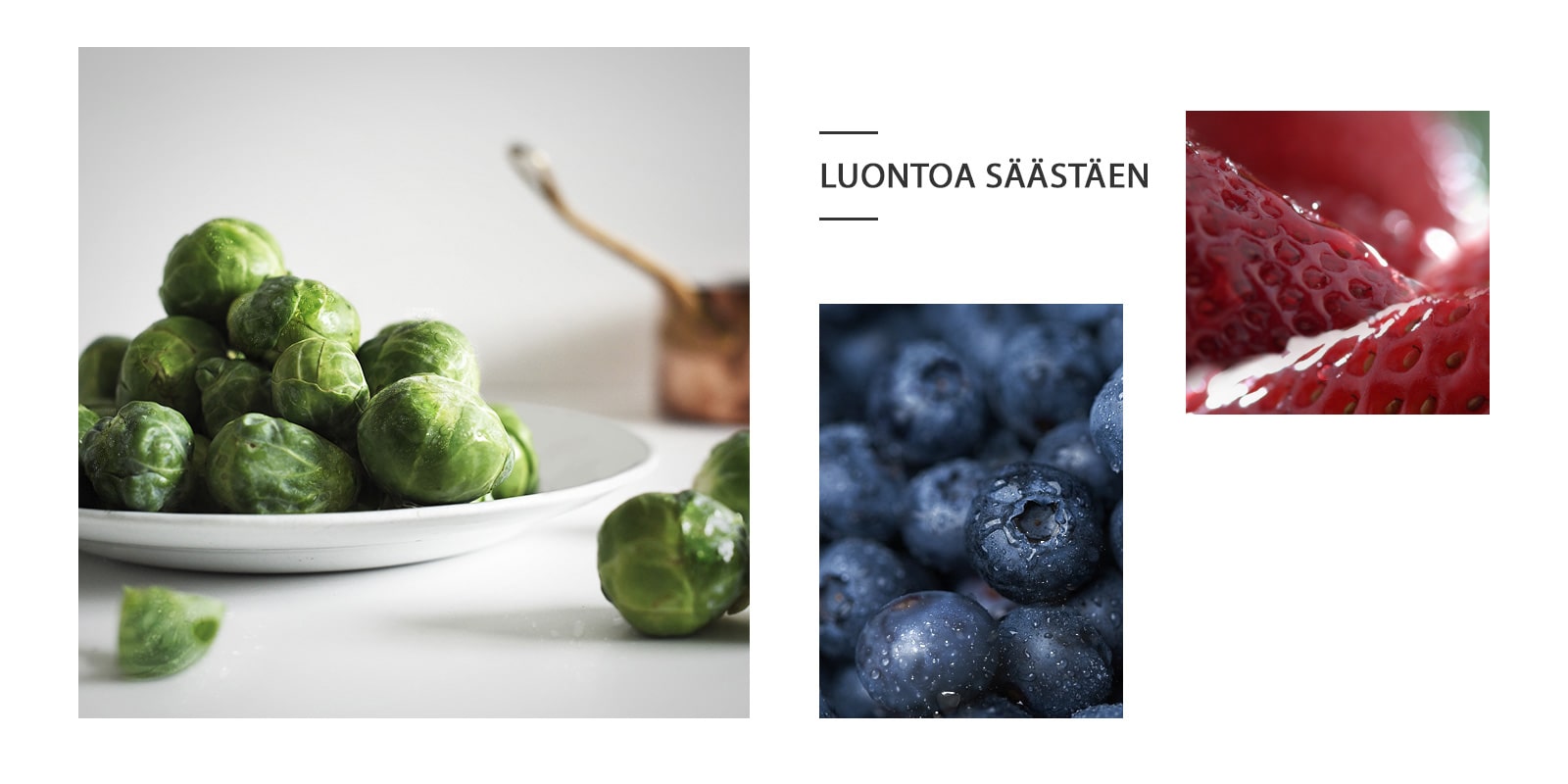 FI-REF-NatureFRESH-Vplus-01-Story-03-Saving-Nature-Desktop