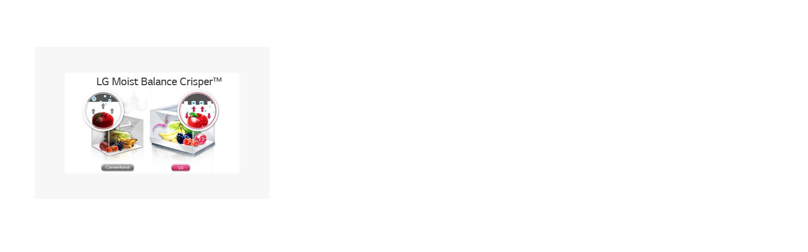 Moist Balance Crisper - pidä ruoat tuoreempina1