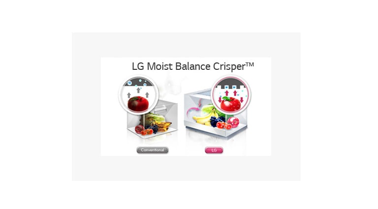 Moist Balance Crisper - pidä ruoat tuoreempina2
