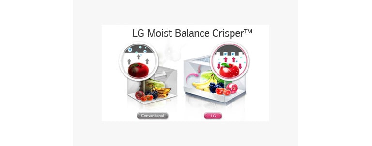Moist Balance Crisper 2