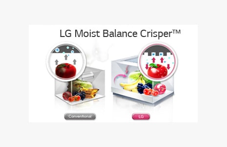 Moist Balance Crisper - säilyttää hedelmät ja vihannekset tuoreina pidempään
