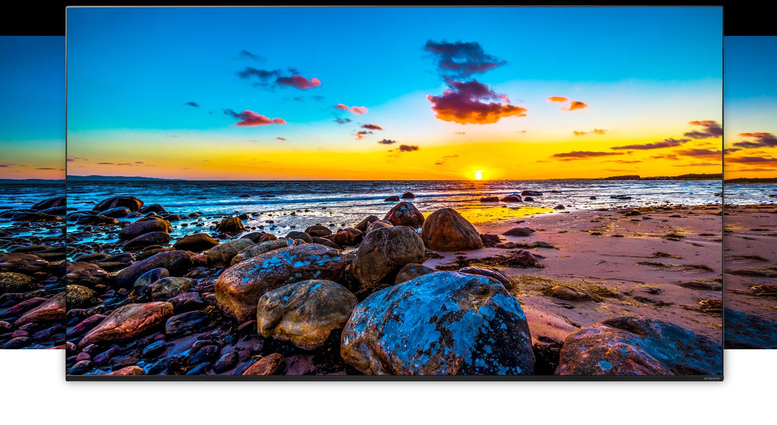 Tv-ruudulla näkyy runsaasti luontoa