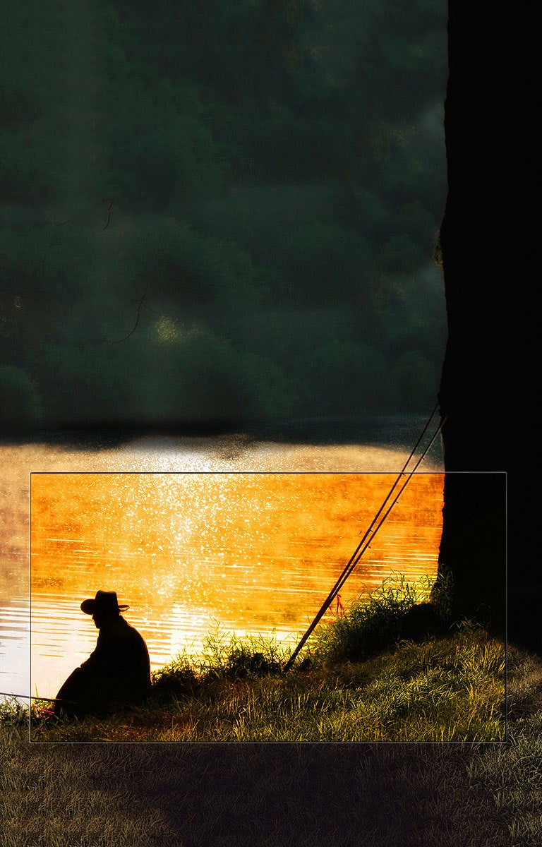 Täydellinen musta. Ällistyttävä kontrasti.2