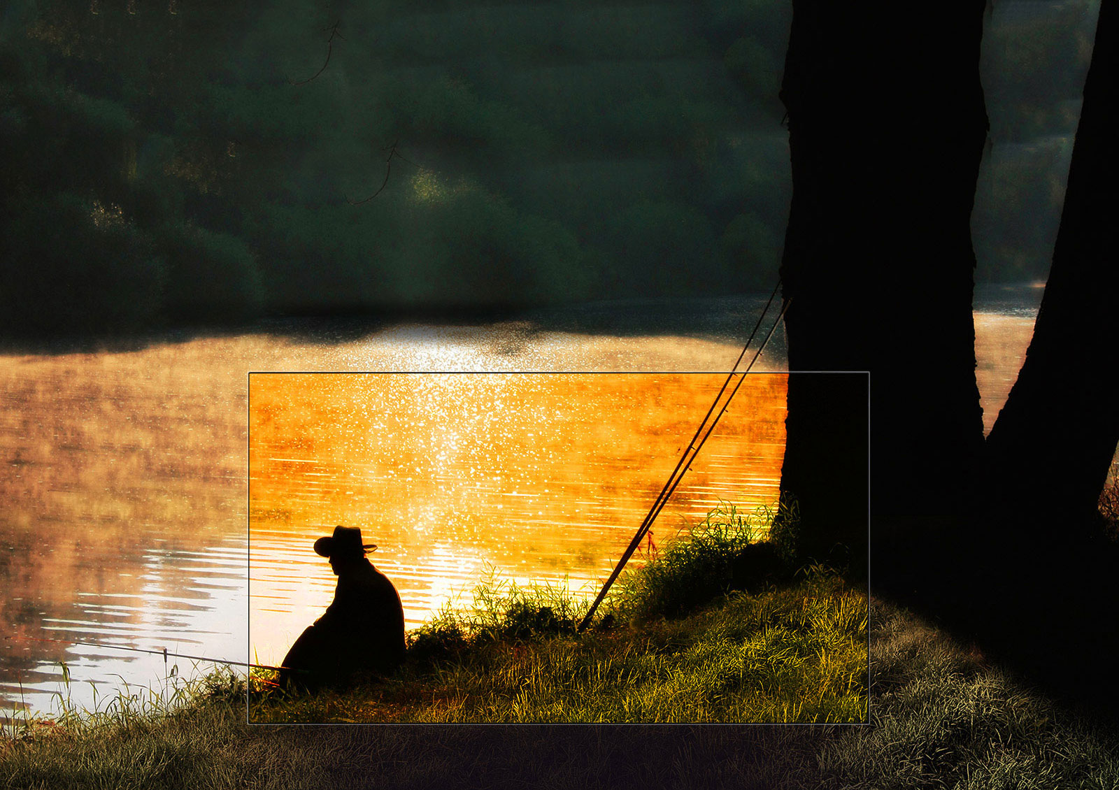 Täydellinen musta. Ällistyttävä kontrasti.1