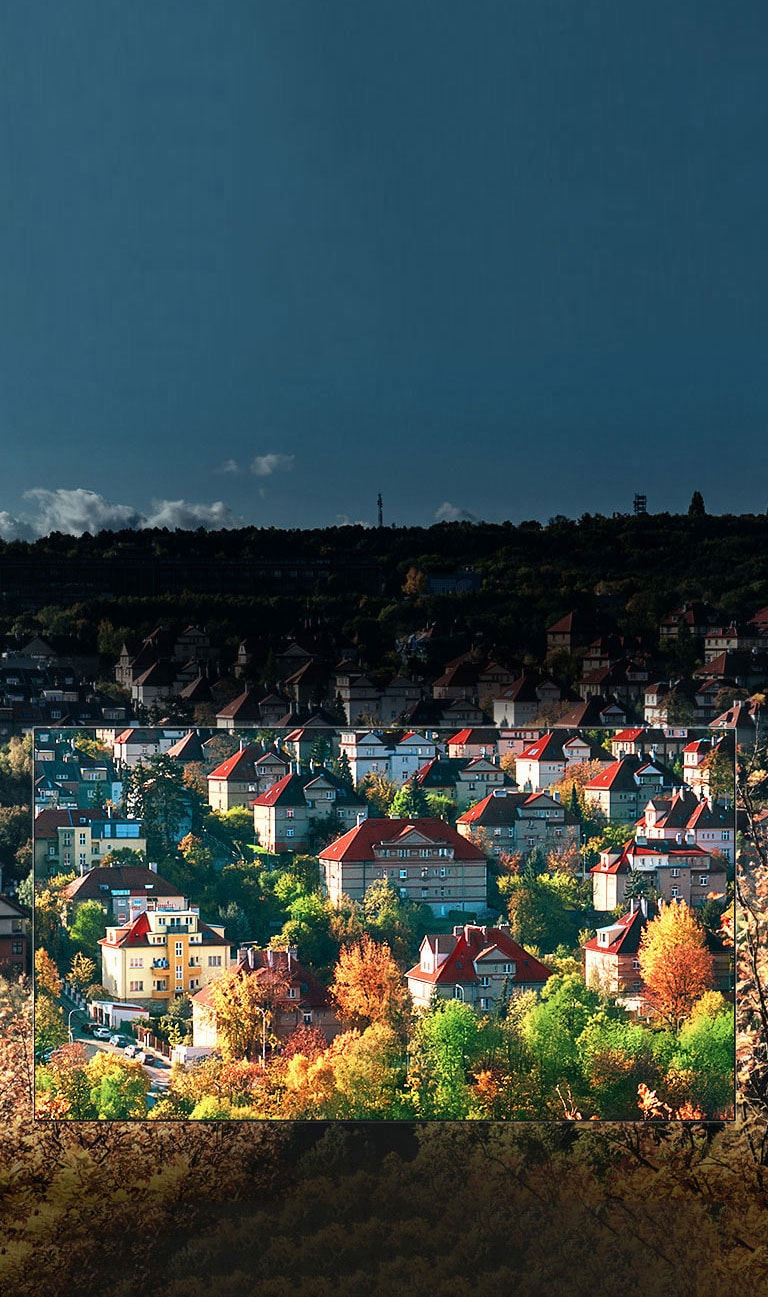 Uskomattomat värit Nano Cell™<br>-näytöllä2