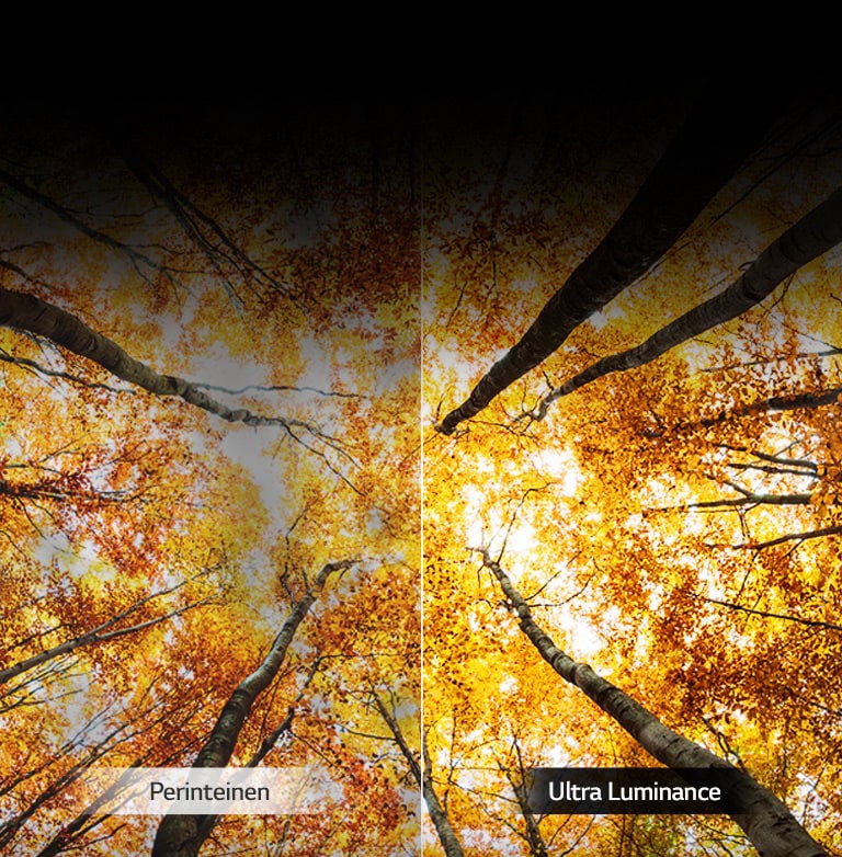 Tehostettua huippukirkkautta2