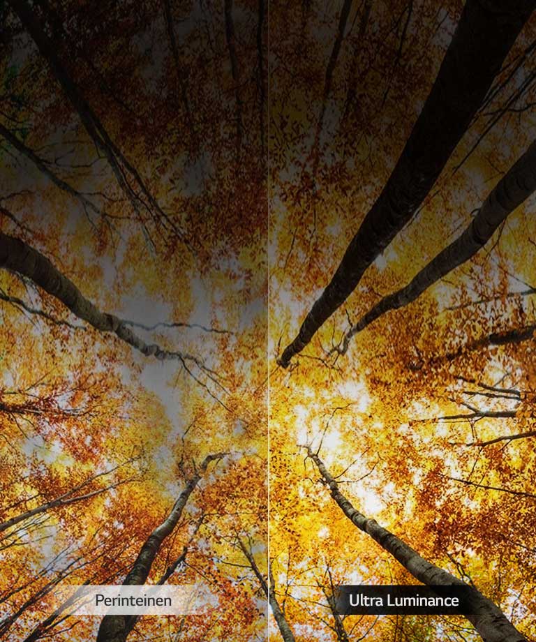 Tehostettua huippukirkkautta2