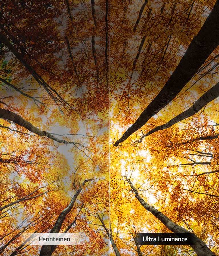 Tehostettua huippu kirkkautta2